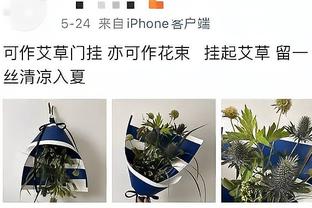 怀森：罗马的目标是尽可能进入欧冠区 想为尤文击败国米